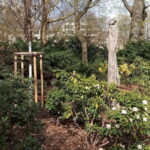 Bild_fuer_Kippenburg_zum_Schloss